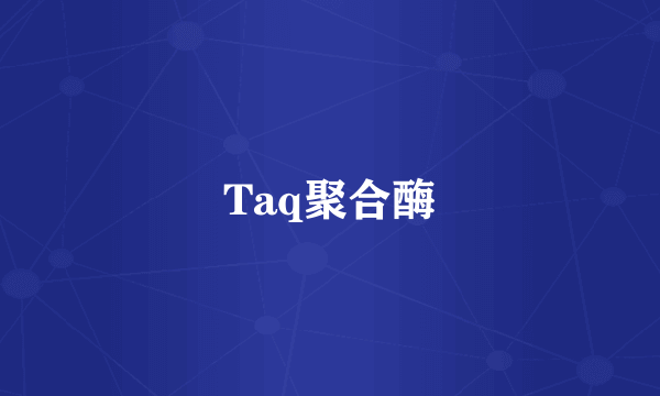 Taq聚合酶