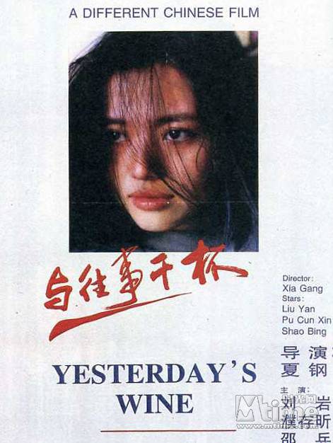 与往事干杯（1995年夏钢执导的剧情电影）