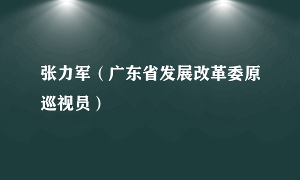 张力军（广东省发展改革委原巡视员）