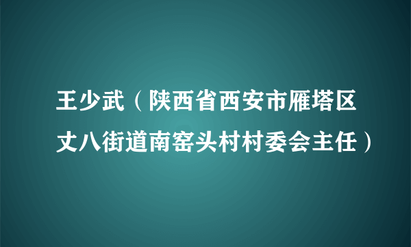 王少武（陕西省西安市雁塔区丈八街道南窑头村村委会主任）