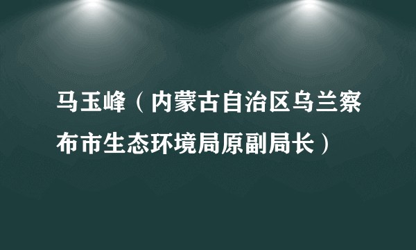 马玉峰（内蒙古自治区乌兰察布市生态环境局原副局长）