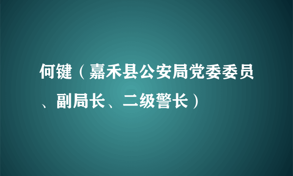 何键（嘉禾县公安局党委委员、副局长、二级警长）