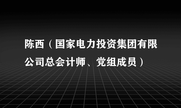 陈西（国家电力投资集团有限公司总会计师、党组成员）