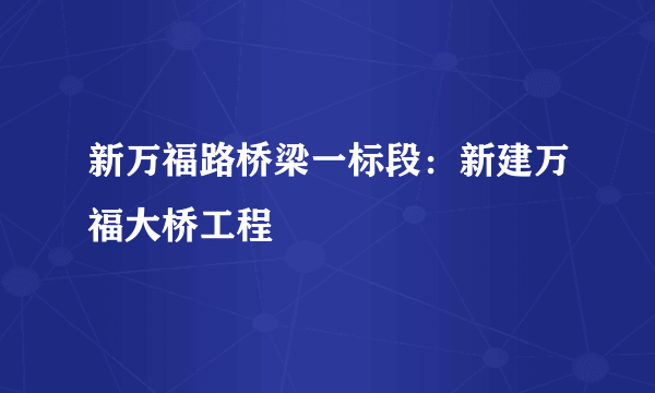 新万福路桥梁一标段：新建万福大桥工程