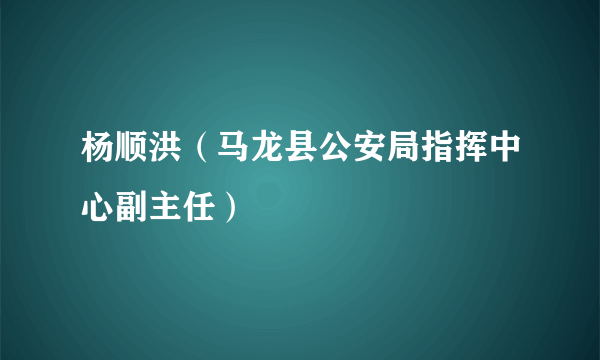 杨顺洪（马龙县公安局指挥中心副主任）