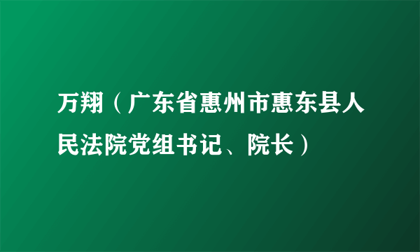 万翔（广东省惠州市惠东县人民法院党组书记、院长）