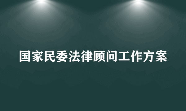 国家民委法律顾问工作方案