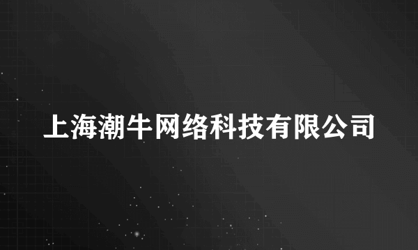 上海潮牛网络科技有限公司