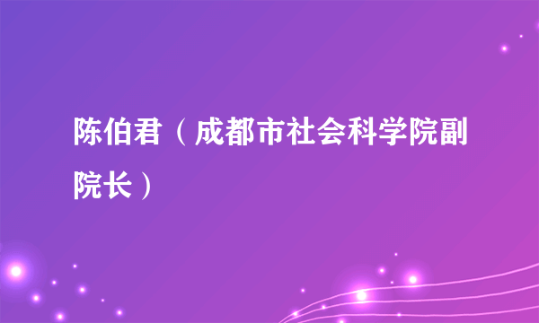 陈伯君（成都市社会科学院副院长）