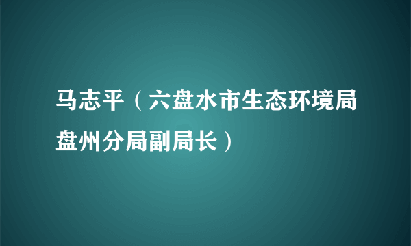 马志平（六盘水市生态环境局盘州分局副局长）