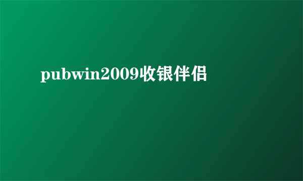 pubwin2009收银伴侣