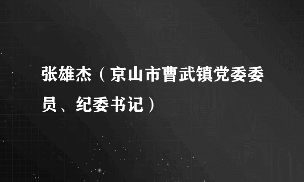 张雄杰（京山市曹武镇党委委员、纪委书记）