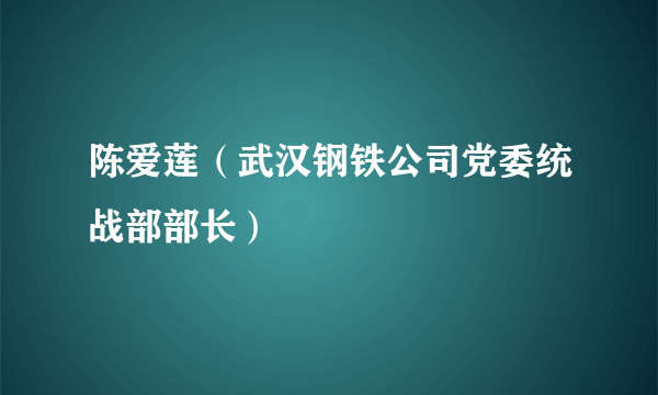 陈爱莲（武汉钢铁公司党委统战部部长）