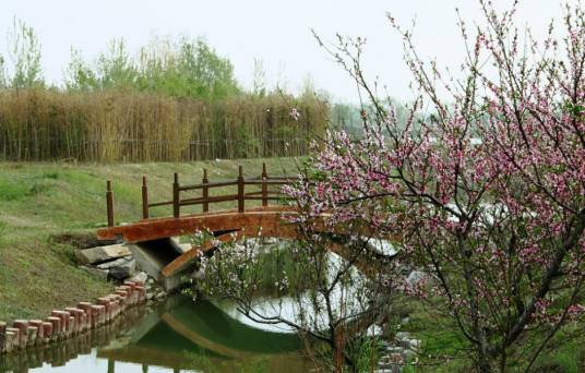 桃花坞风景区