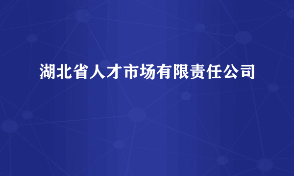 湖北省人才市场有限责任公司