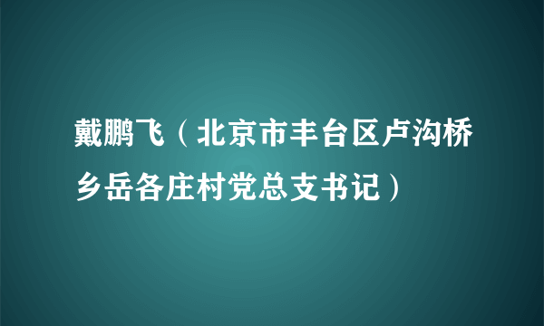 戴鹏飞（北京市丰台区卢沟桥乡岳各庄村党总支书记）