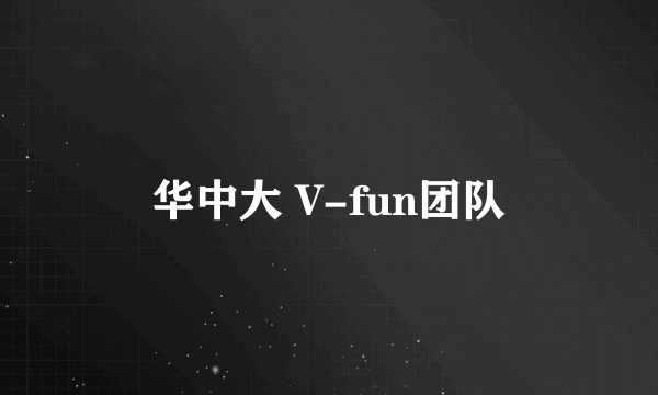 华中大 V-fun团队