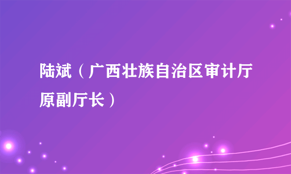 陆斌（广西壮族自治区审计厅原副厅长）