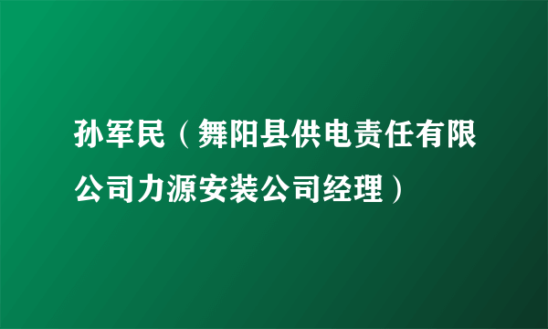 孙军民（舞阳县供电责任有限公司力源安装公司经理）