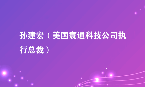 孙建宏（美国寰通科技公司执行总裁）