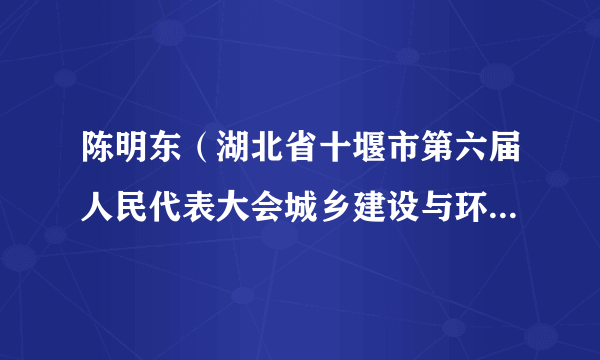 陈明东（湖北省十堰市第六届人民代表大会城乡建设与环境资源保护委员会原主任委员）