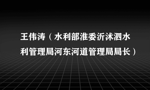 王伟涛（水利部淮委沂沭泗水利管理局河东河道管理局局长）