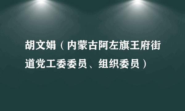 胡文娟（内蒙古阿左旗王府街道党工委委员、组织委员）