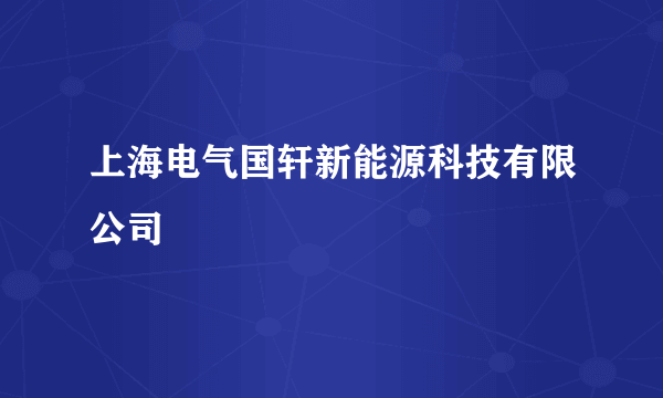 上海电气国轩新能源科技有限公司