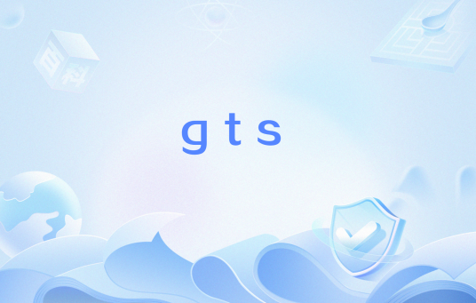 gts（网络流行语）