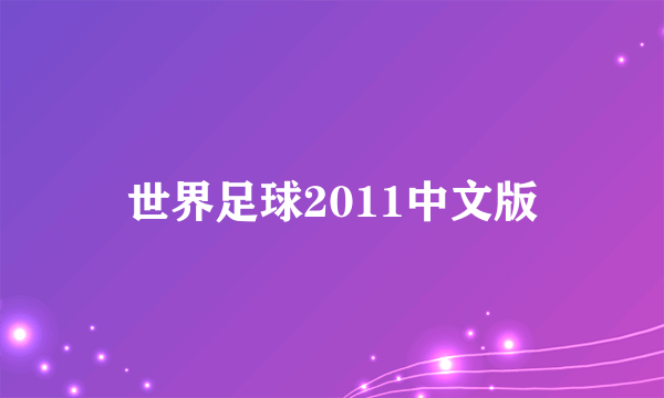 世界足球2011中文版