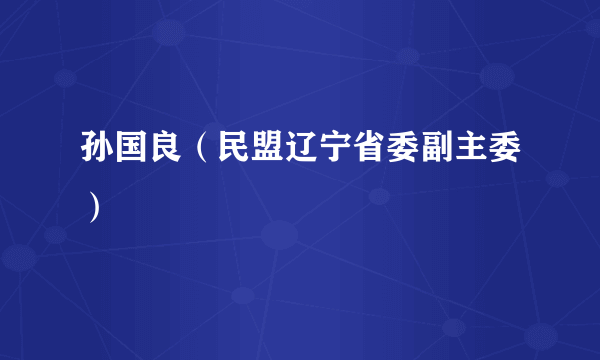 孙国良（民盟辽宁省委副主委）