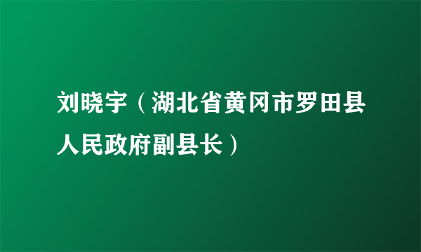 刘晓宇（湖北省黄冈市罗田县人民政府副县长）