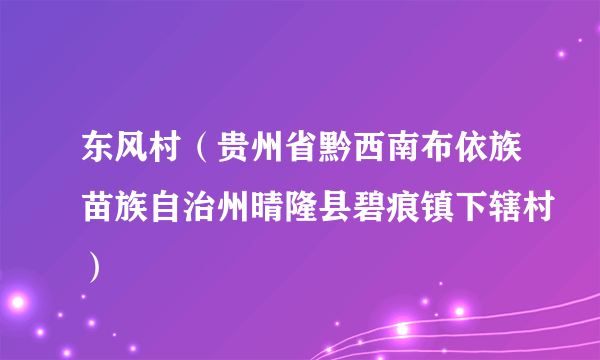 东风村（贵州省黔西南布依族苗族自治州晴隆县碧痕镇下辖村）