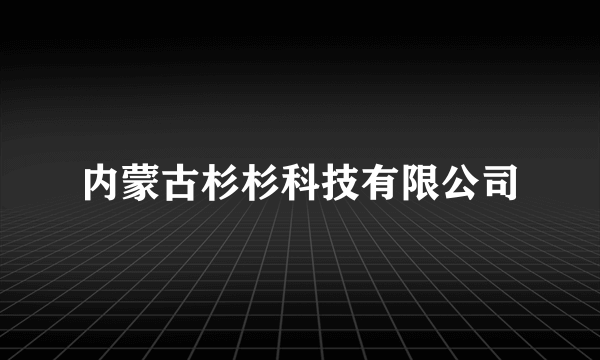 内蒙古杉杉科技有限公司