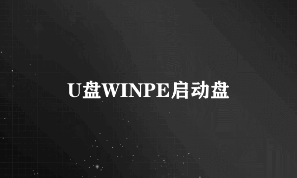 U盘WINPE启动盘