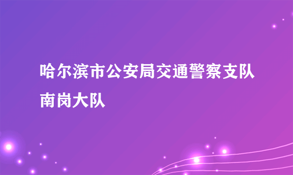 哈尔滨市公安局交通警察支队南岗大队