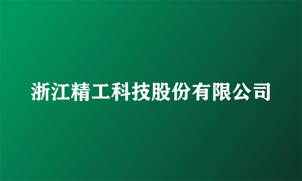 浙江精工科技股份有限公司