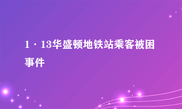 1·13华盛顿地铁站乘客被困事件