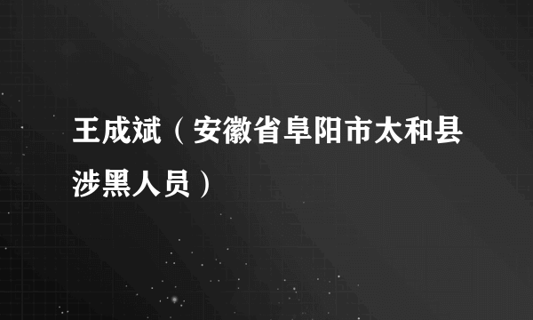 王成斌（安徽省阜阳市太和县涉黑人员）