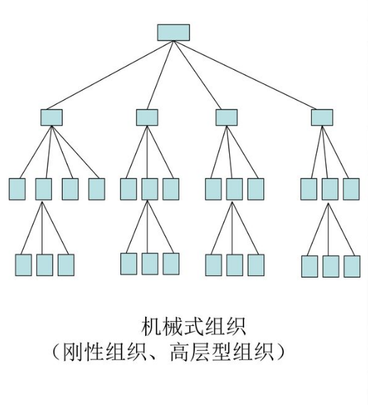 机械式组织