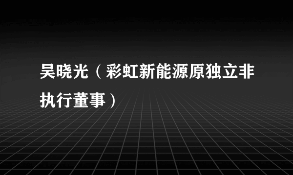 吴晓光（彩虹新能源原独立非执行董事）