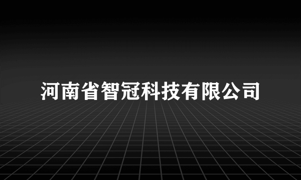 河南省智冠科技有限公司