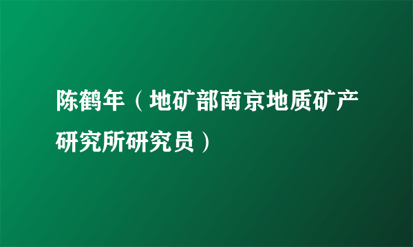 陈鹤年（地矿部南京地质矿产研究所研究员）