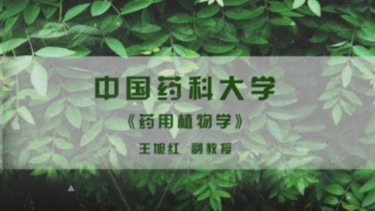 药用植物学（中国药科大学建设的慕课）