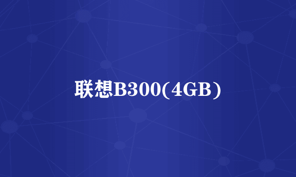 联想B300(4GB)