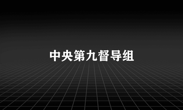 中央第九督导组