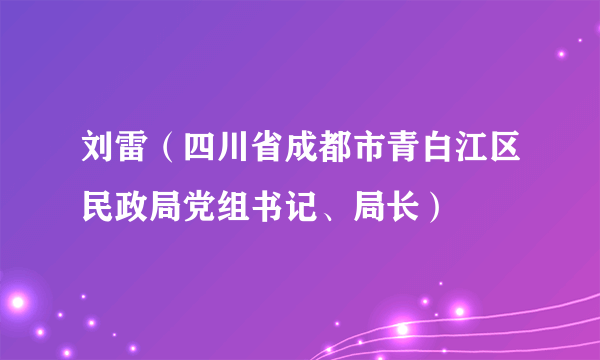 刘雷（四川省成都市青白江区民政局党组书记、局长）