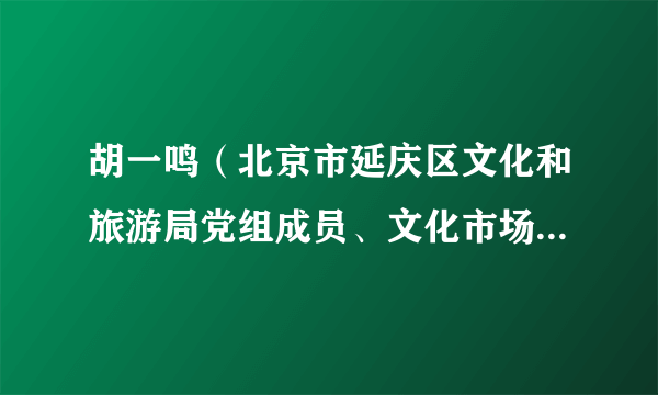 胡一鸣（北京市延庆区文化和旅游局党组成员、文化市场综合执法大队大队长）