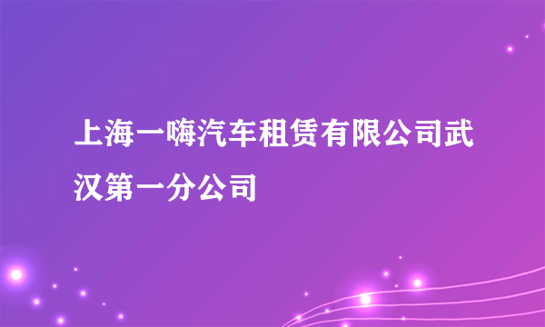 上海一嗨汽车租赁有限公司武汉第一分公司