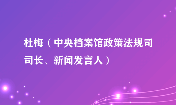 杜梅（中央档案馆政策法规司司长、新闻发言人）